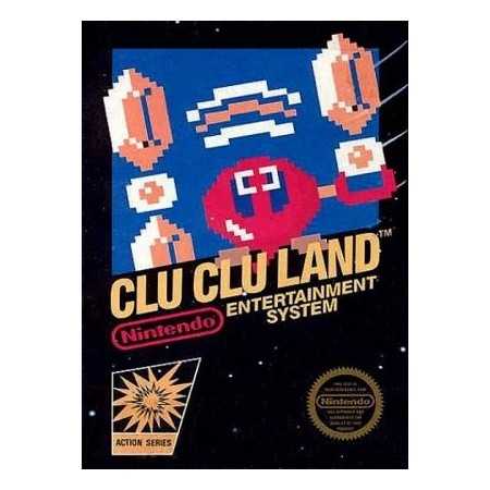 Clu Clu Land NES | Section Nintendo NES | retrogaming