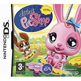 Nintendo DS | Retrochips