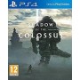 Shadow of the Colossus PS4 | Jeux Ps4 | retrogaming