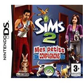 Nintendo DS | Retrochips