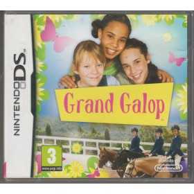 DS Jeux | Retrochips
