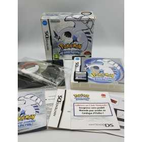 Nintendo DS | Retrochips