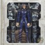 Figurine Saint Seiya Cloth Myth Crystal Saint BANDAI 