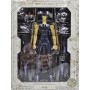 Figurine Saint Seiya Cloth Myth Bronze Phoenix Ikki BANDAI 