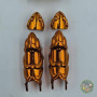 Armure Saint Seiya Aiolia Lion - Bandai HK 2003 