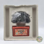 Pokémon Version Rouge Feu GAME BOY ADVANCE GBA 