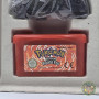Pokémon Version Rouge Feu GAME BOY ADVANCE GBA 