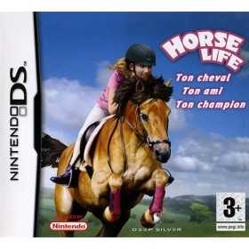 DS Jeux | Retrochips