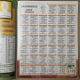 Foot 2010 Album Panini 