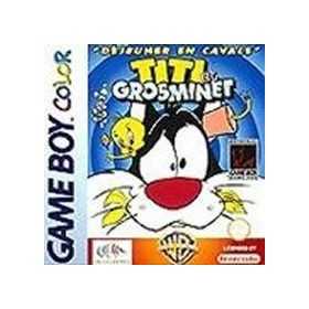 Section Game Boy Color | Retrochips