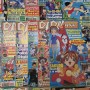 Lot de 16 Magazine / revue D. Mangas / Dorothée Magazine 