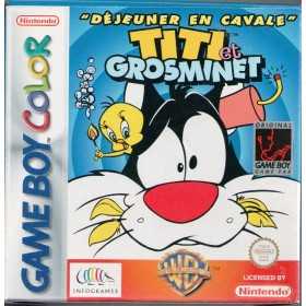 Section Game Boy Color | Retrochips